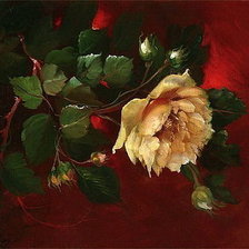 Оригинал схемы вышивки «Роза» (№1781870)