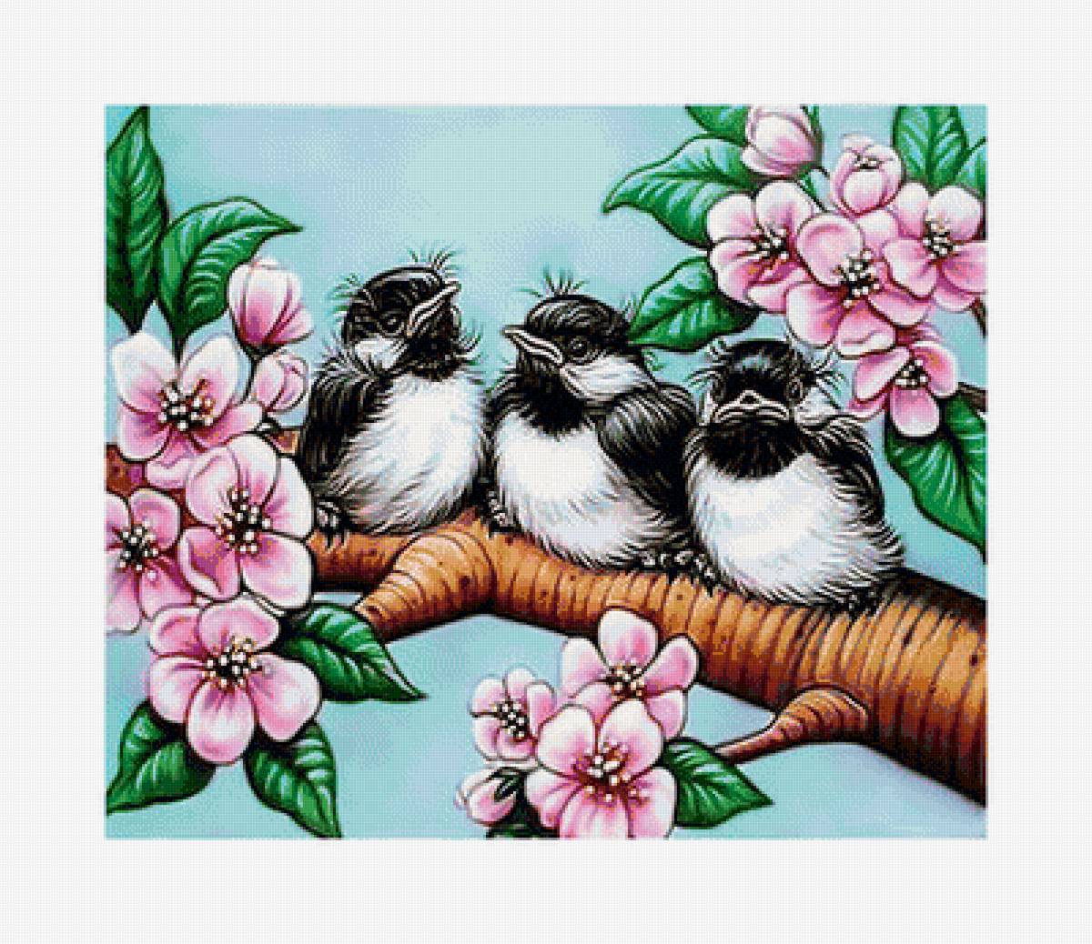 Серия "Птицы" - фауна, птицы - предпросмотр