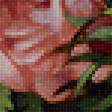 Предпросмотр схемы вышивки «Серия "Розы".» (№1782054)