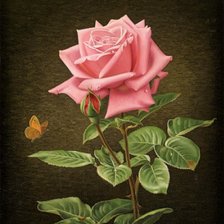 Схема вышивки «№1782099»