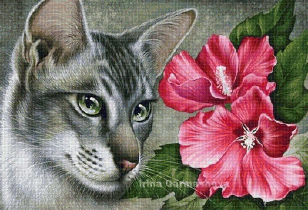 mačka,kvet - предпросмотр