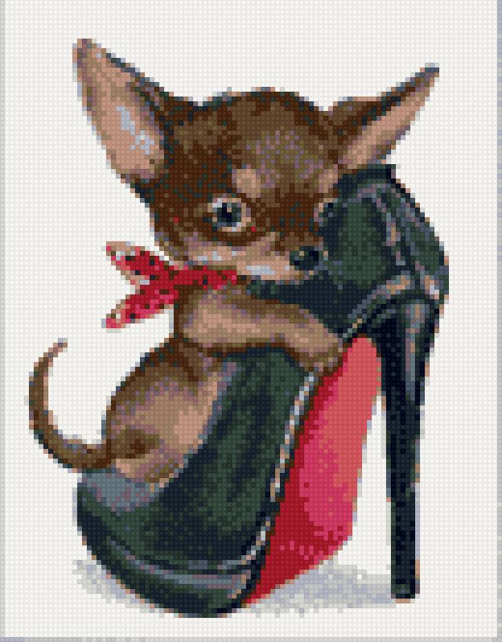 чихуа в туфле - предпросмотр