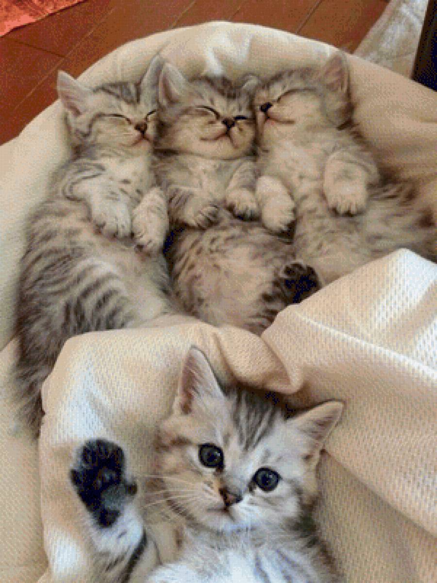 №1783236 - предпросмотр