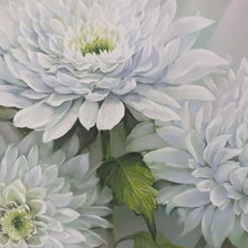 Схема вышивки «хризантемы»