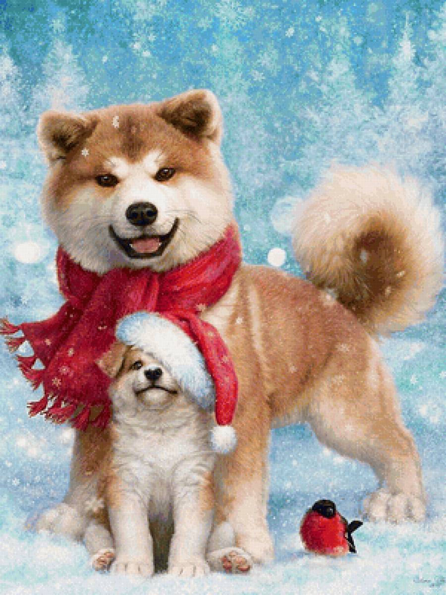 собаки - собаки - предпросмотр