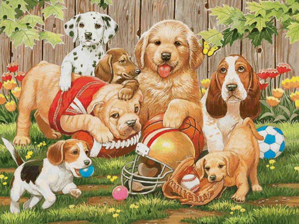 собаки - собаки - предпросмотр