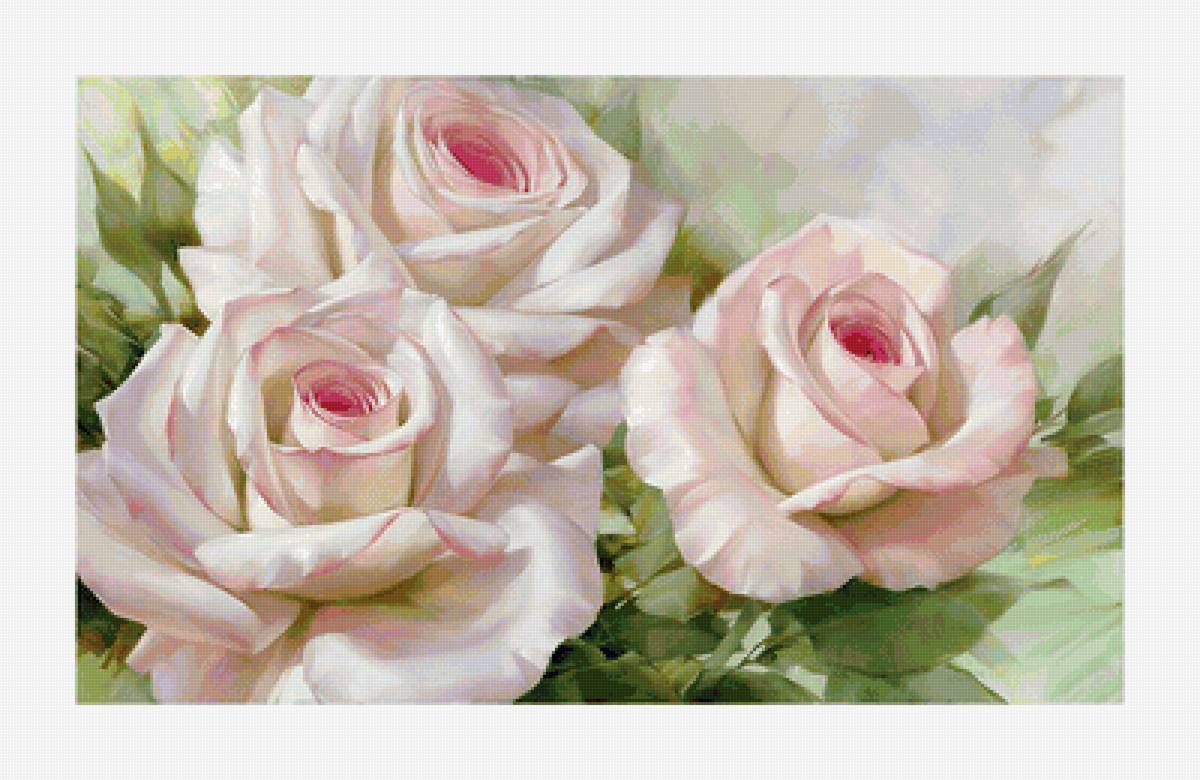 Серия "Розы". - розы, цветы, флора - предпросмотр