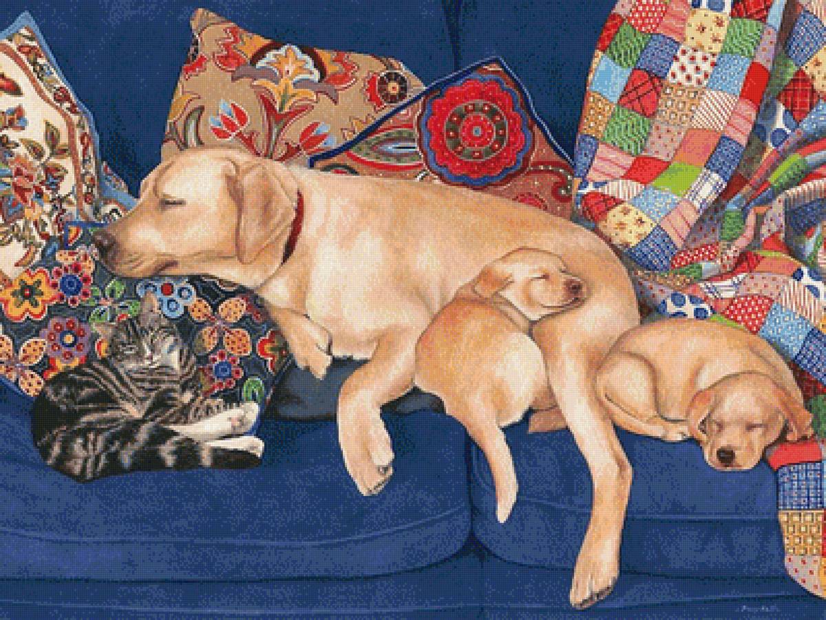 время сна - собаки, кот - предпросмотр