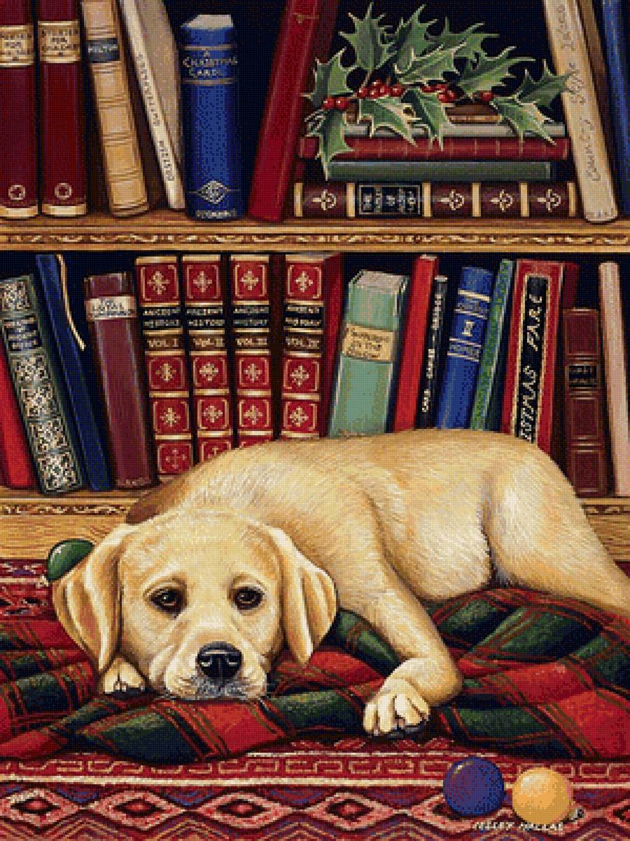 собака - собака - предпросмотр