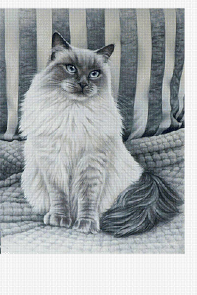 Котейка - коты ирины гармашевой - предпросмотр