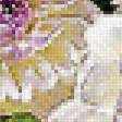 Предпросмотр схемы вышивки «№1784570»