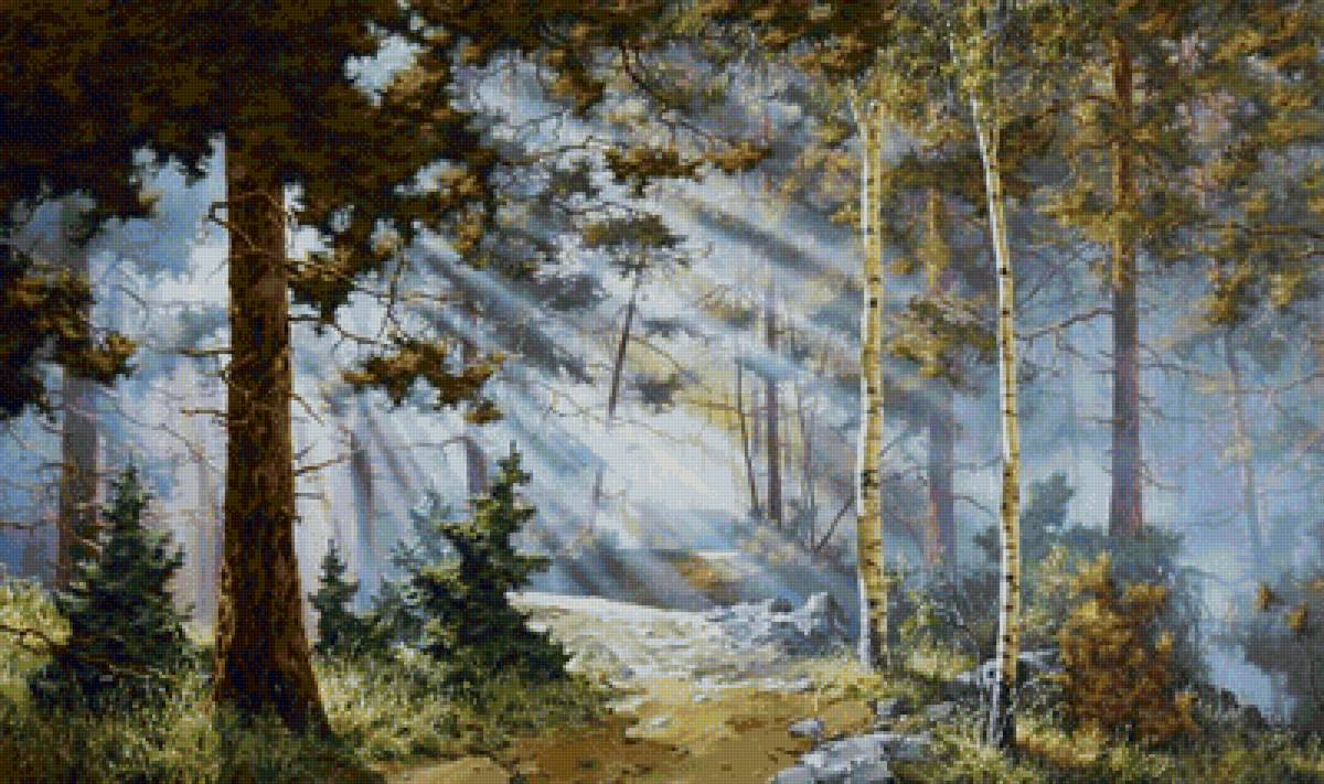 Туманное утро - лес, туман, лучи - предпросмотр