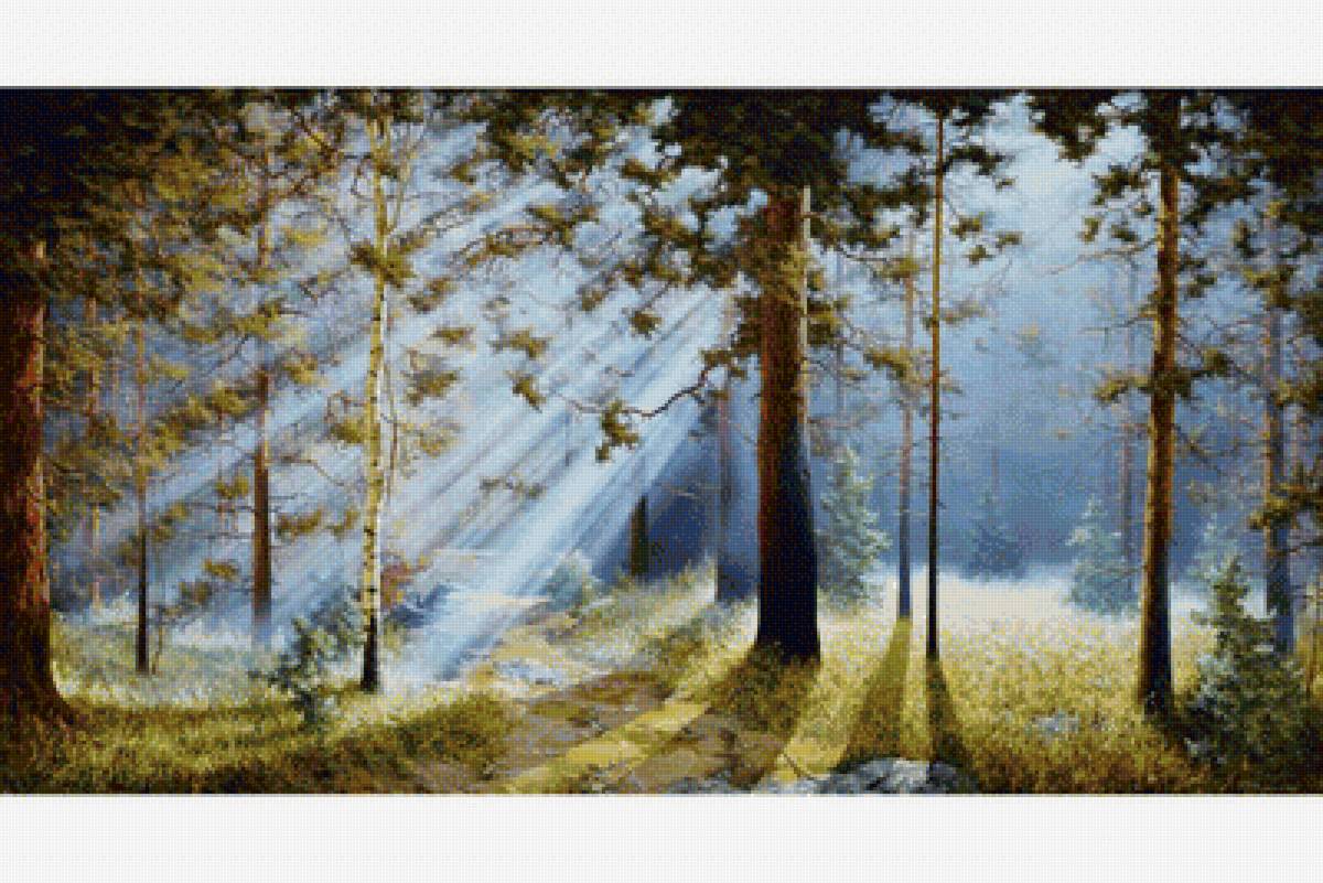 Туманное утро - лучи, лес, утро, туман - предпросмотр