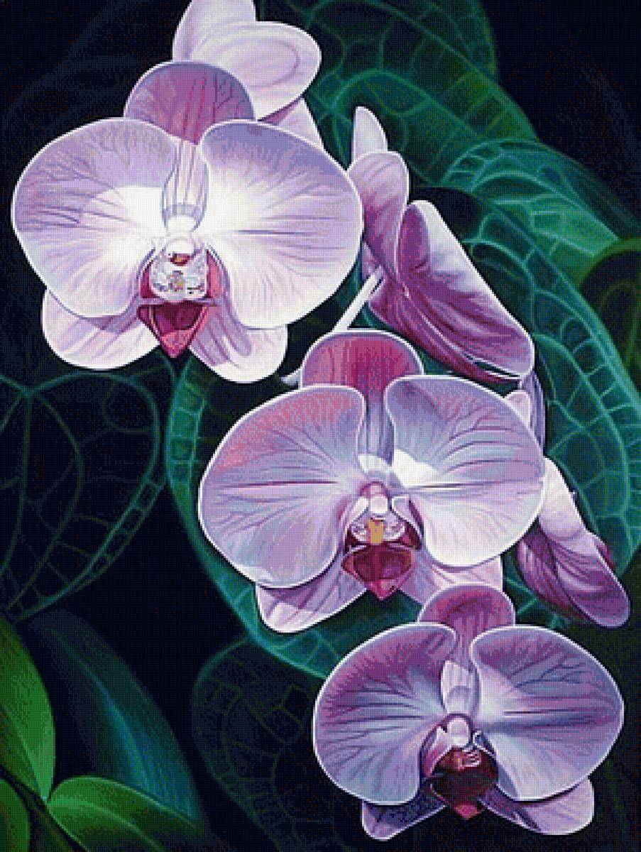 №1785777 - предпросмотр