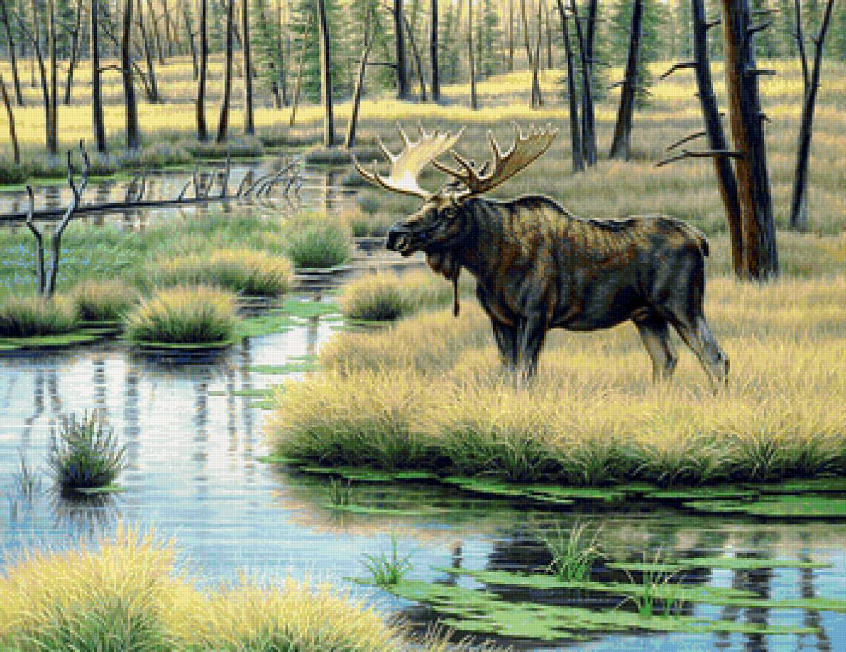 Худ. Крапф - лес, лось, природа - предпросмотр