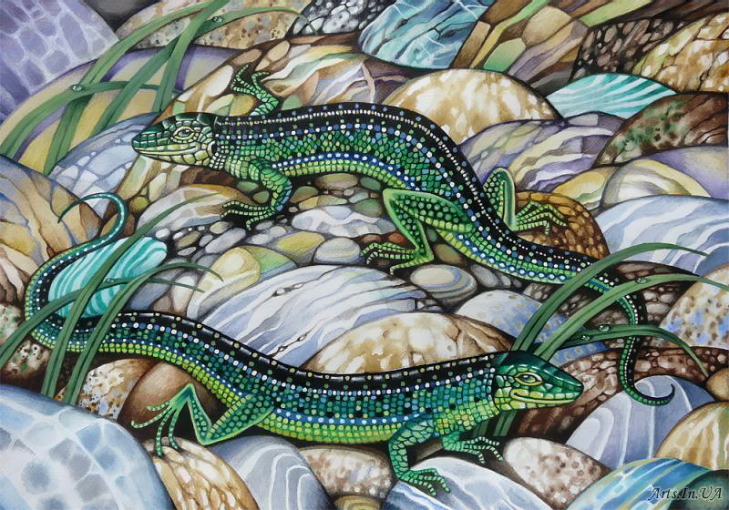 Две изумрудные ящерки - ящерица, камни - оригинал