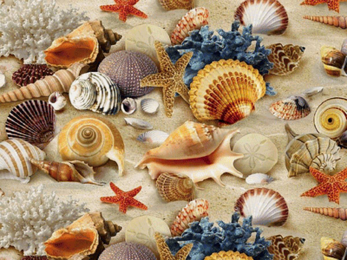 Дары моря и времени - кораллы, звезды, морские раковины - предпросмотр