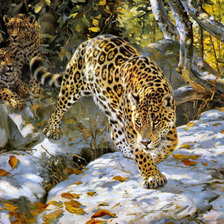 Схема вышивки «Леопарды»