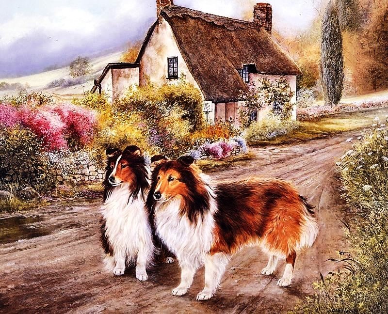 Деревенский пейзаж - природа, пейзаж - оригинал