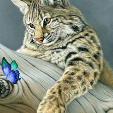 Схема вышивки «Рысь и бабочка»