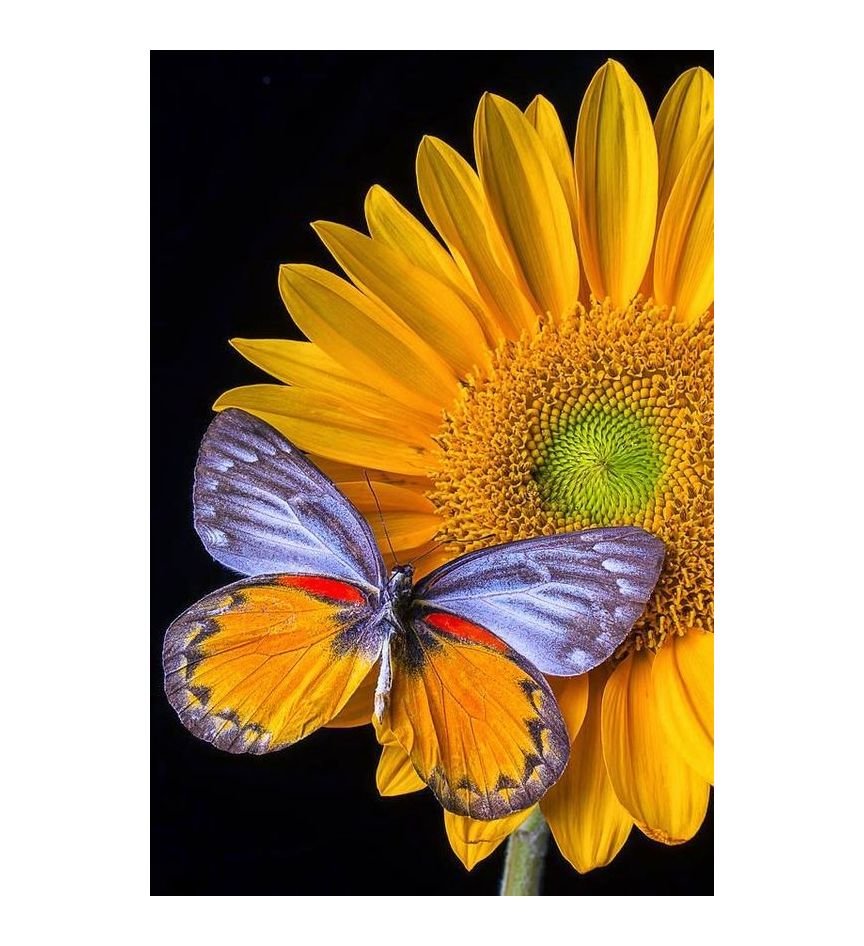 №1786555 - оригинал