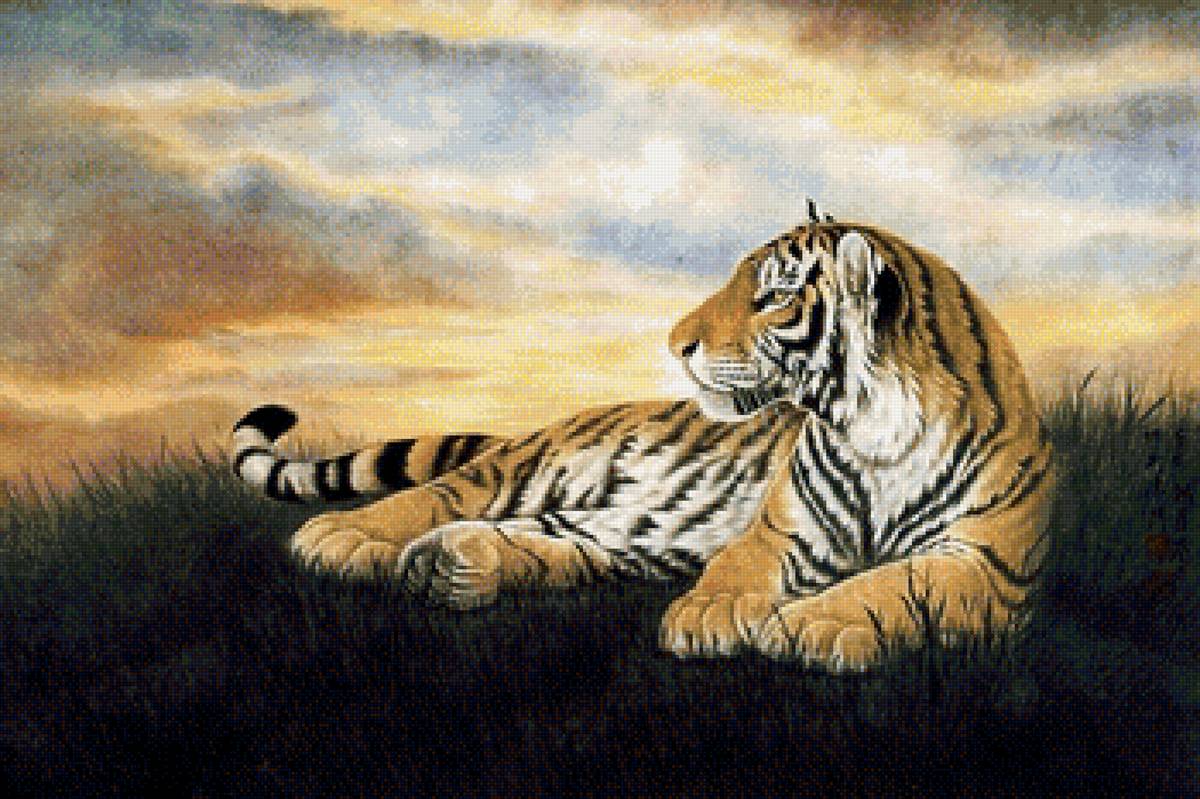 Повелитель саванны - тигры, дикие хищные кошки, гохуа, тигр, природа, животные - предпросмотр