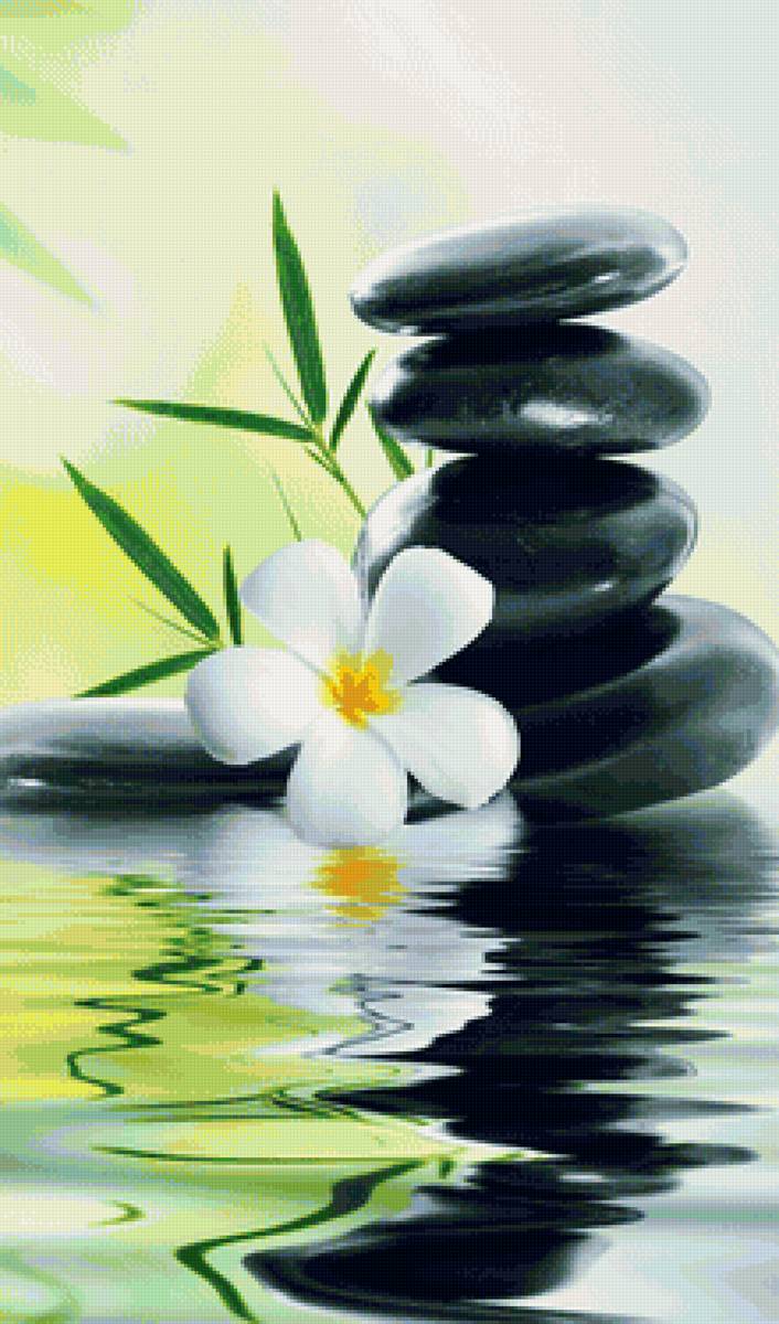 Отражение - цветы, вода - предпросмотр