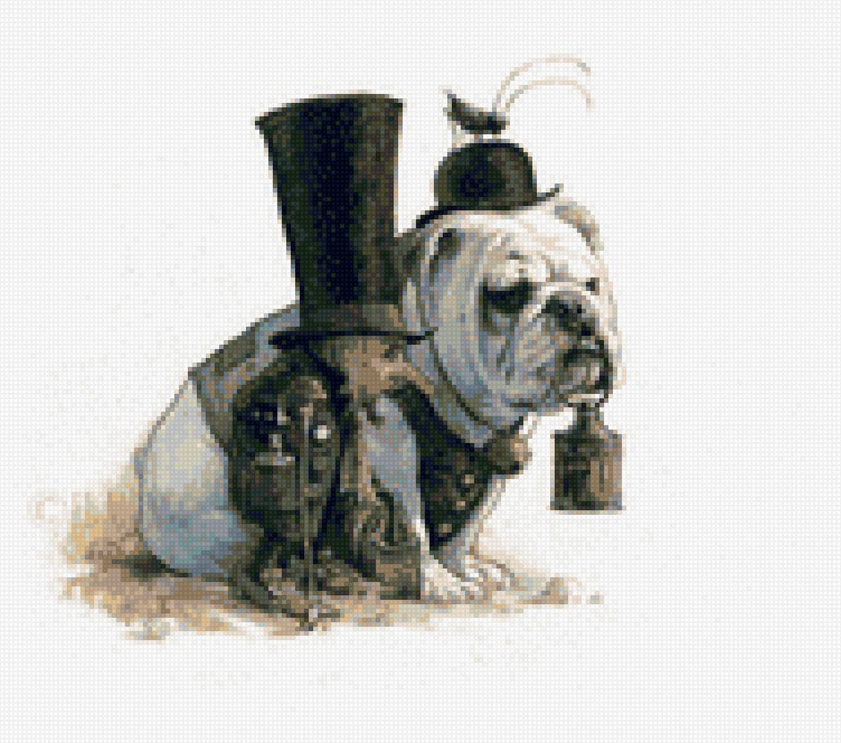 собака - собака - предпросмотр