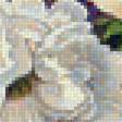 Предпросмотр схемы вышивки «Цветы» (№1789067)