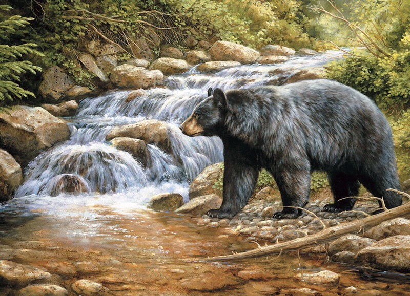 Худ. Розмари Милетт - природа, медведь, животные - оригинал