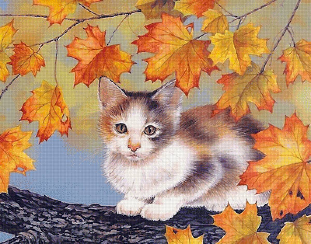 котёнок - котенок - предпросмотр