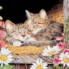 Схема вышивки «котята»