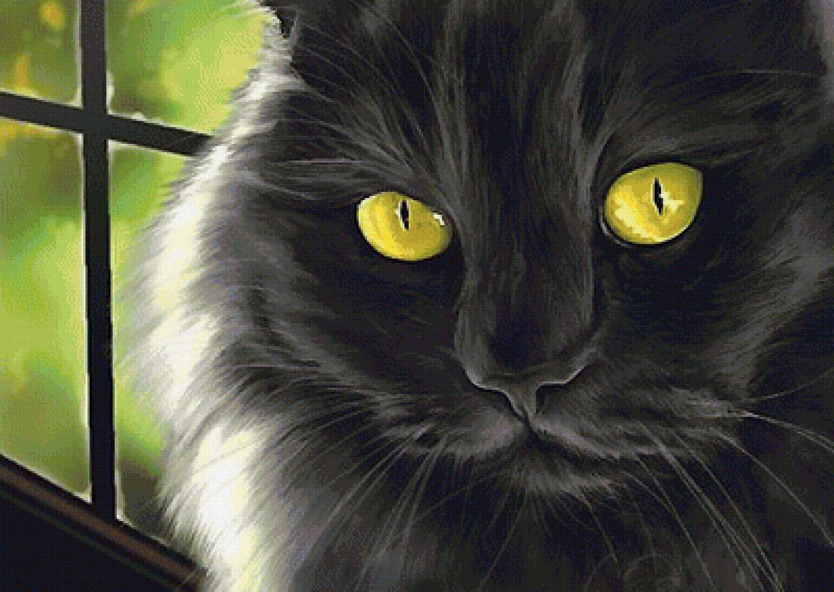 кот - кот - предпросмотр