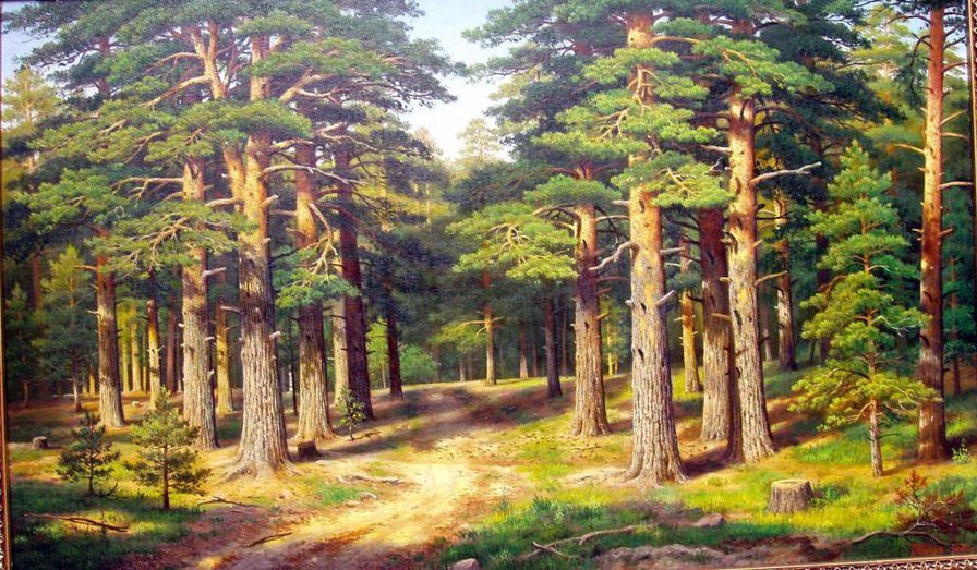 лесной пейзаж - природа, лес, лесной пейзаж - оригинал