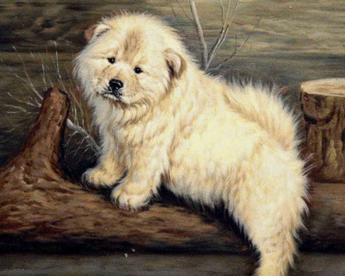 друг - животные - предпросмотр