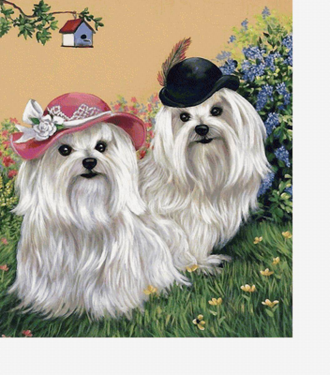 собаки - собаки - предпросмотр