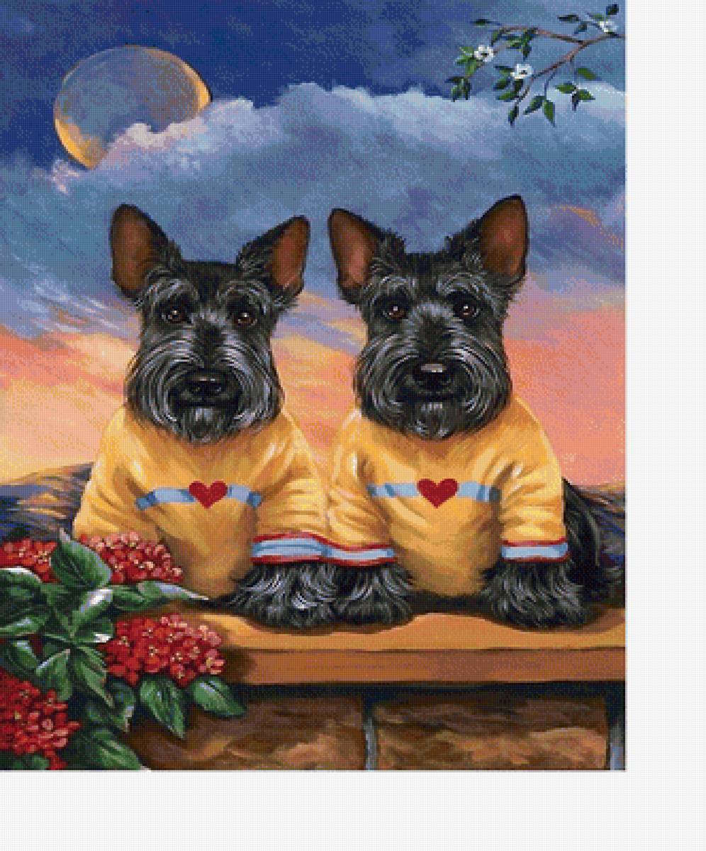 собаки - собаки - предпросмотр