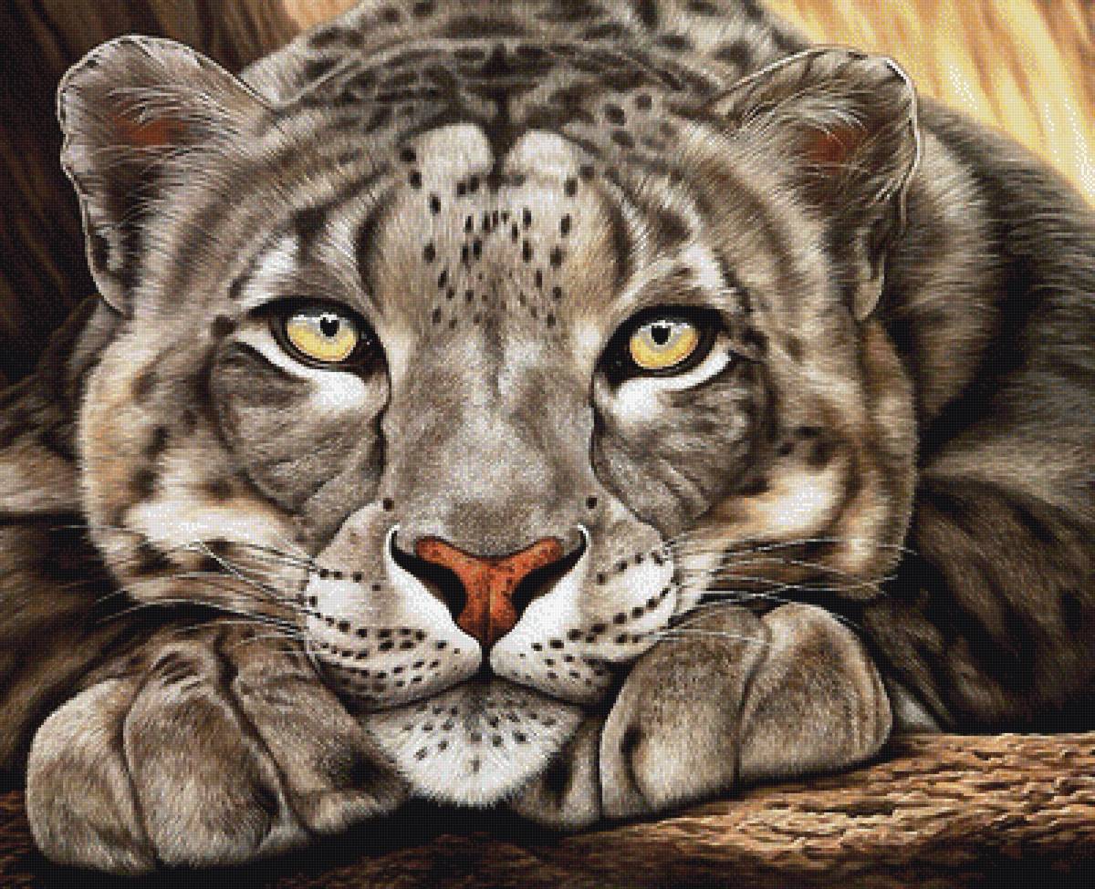 №1791281 - предпросмотр