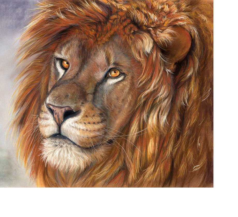Лев - звери, животные - оригинал