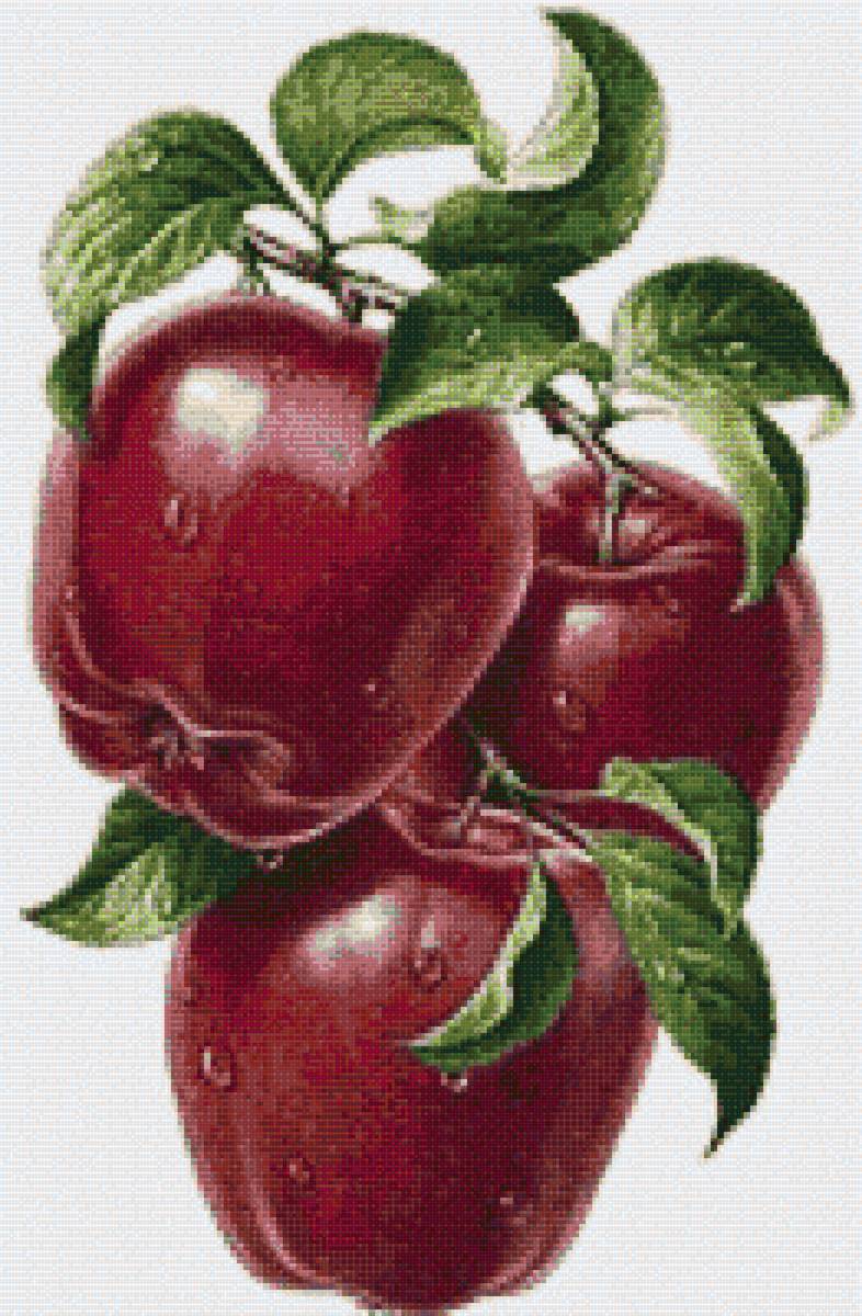 №1791602 - предпросмотр