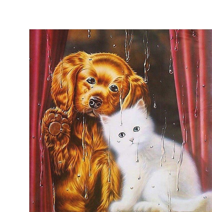 кот и пёс - собака, кот - оригинал