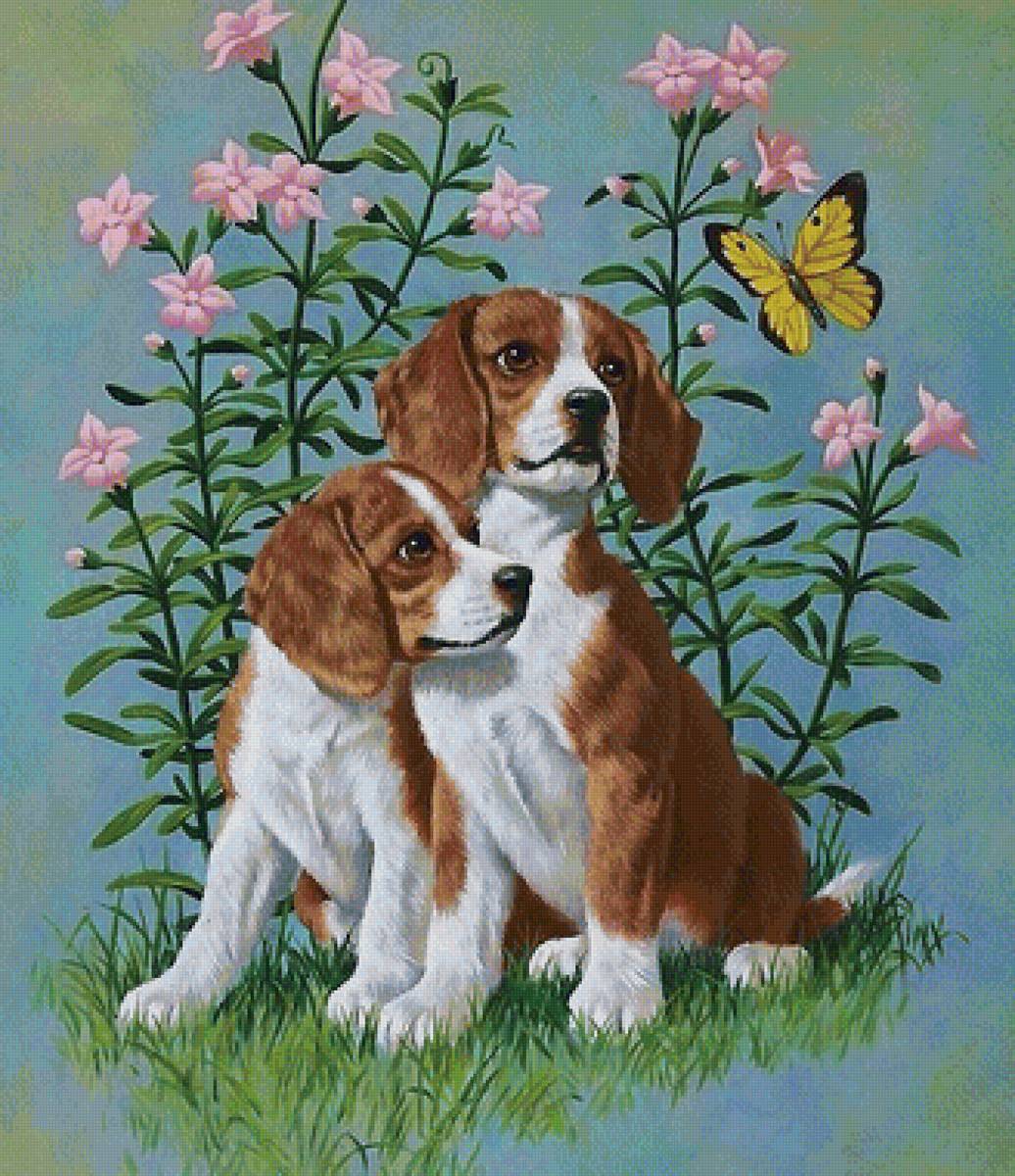 собаки - собаки - предпросмотр