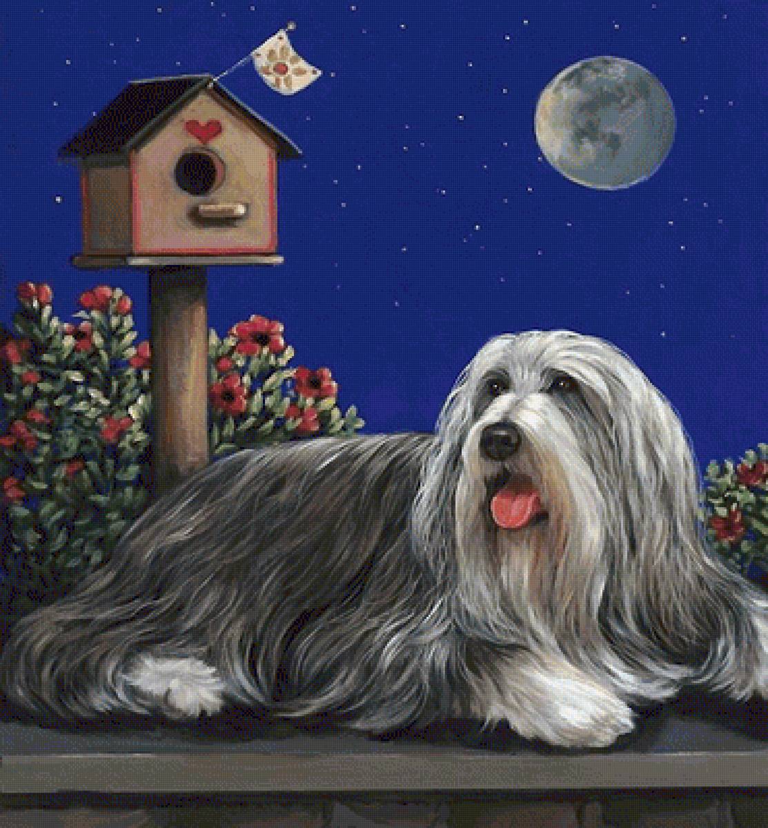 собака - собака - предпросмотр