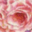 Предпросмотр схемы вышивки «zátišie,kvety» (№1792336)