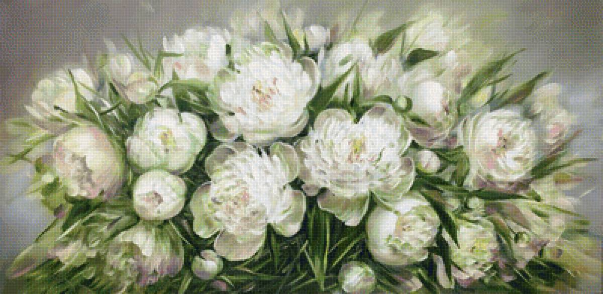 Белые пионы - цветы, пионы, букет - предпросмотр