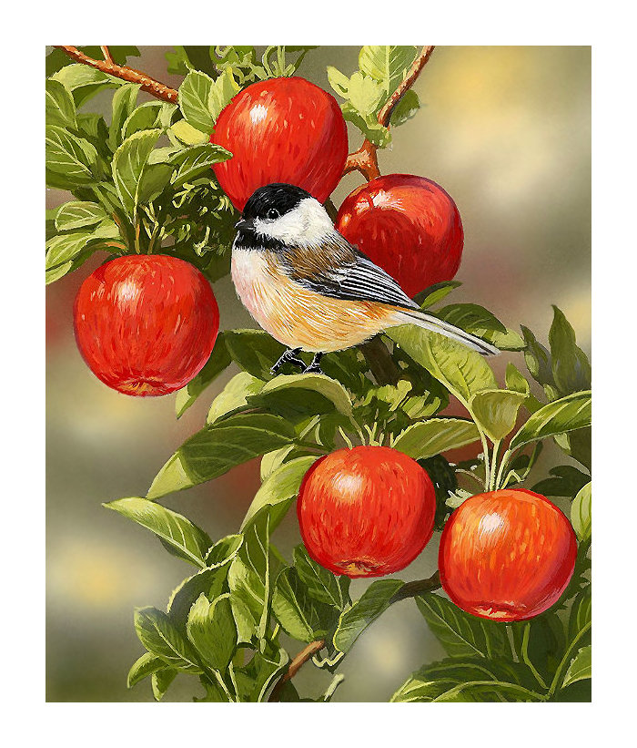 Серия "Птицы" - птицы, фауна - оригинал