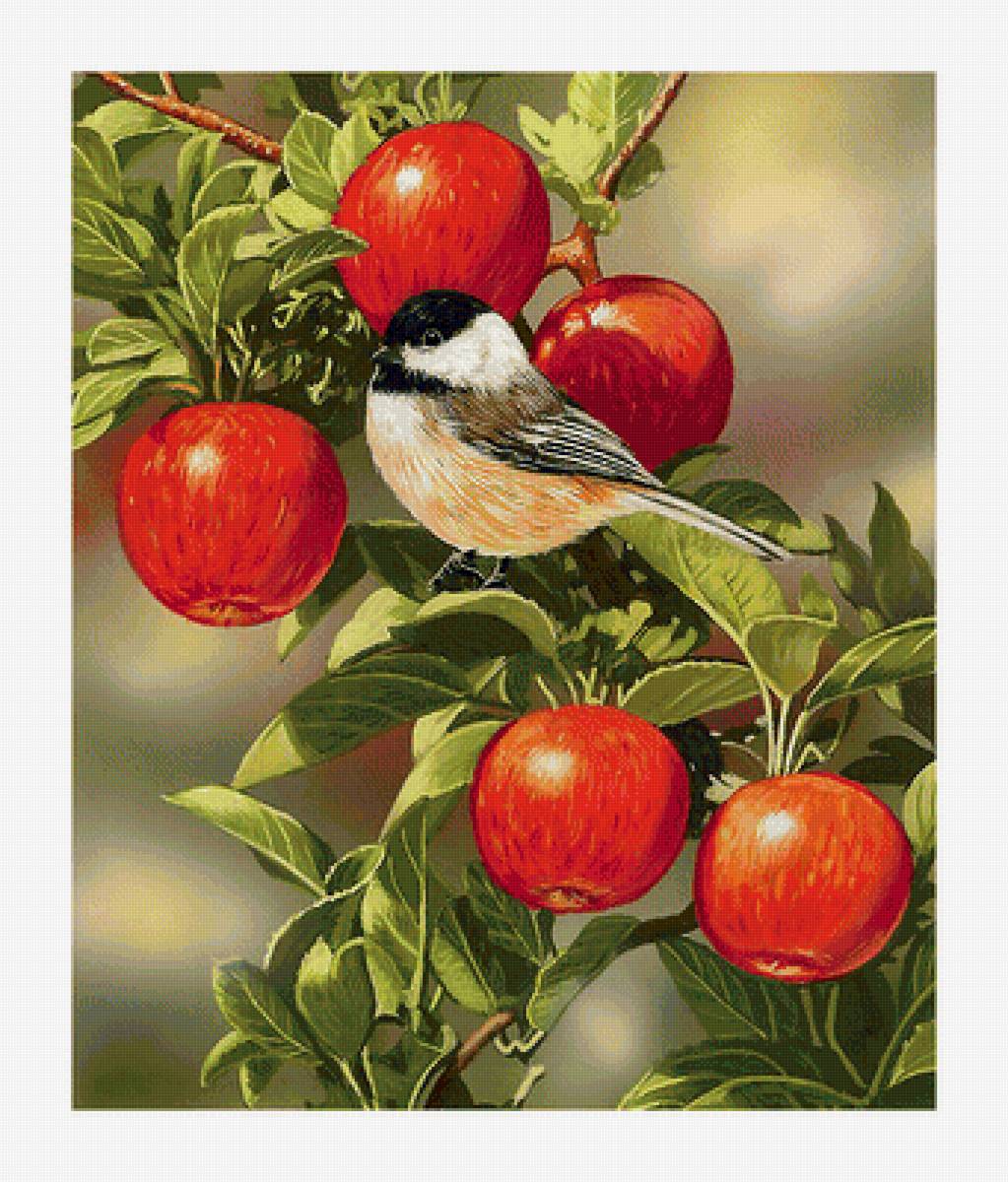 Серия "Птицы" - фауна, птицы - предпросмотр