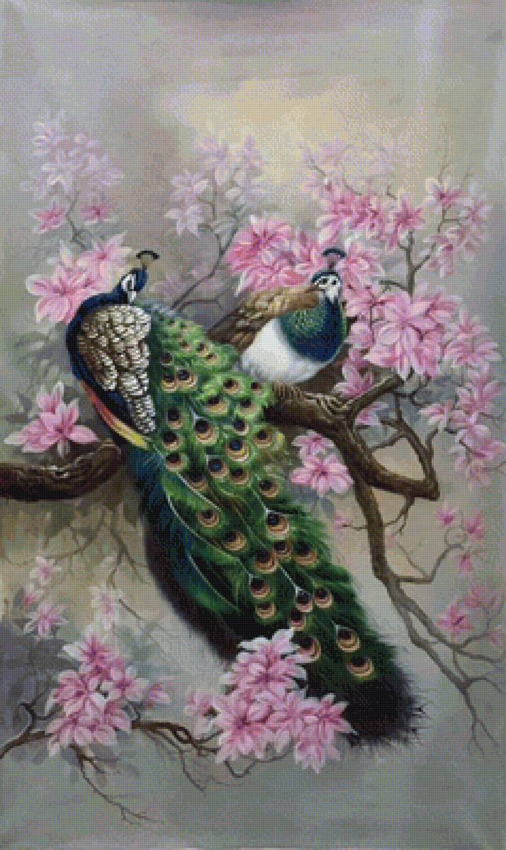 №1792586 - предпросмотр