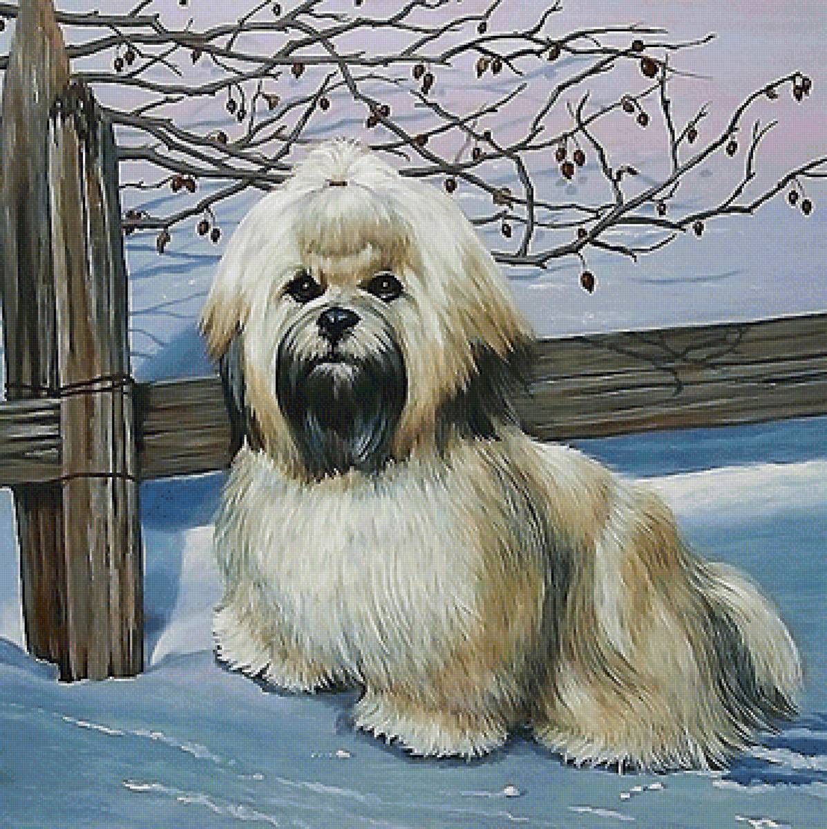 собака - собака - предпросмотр