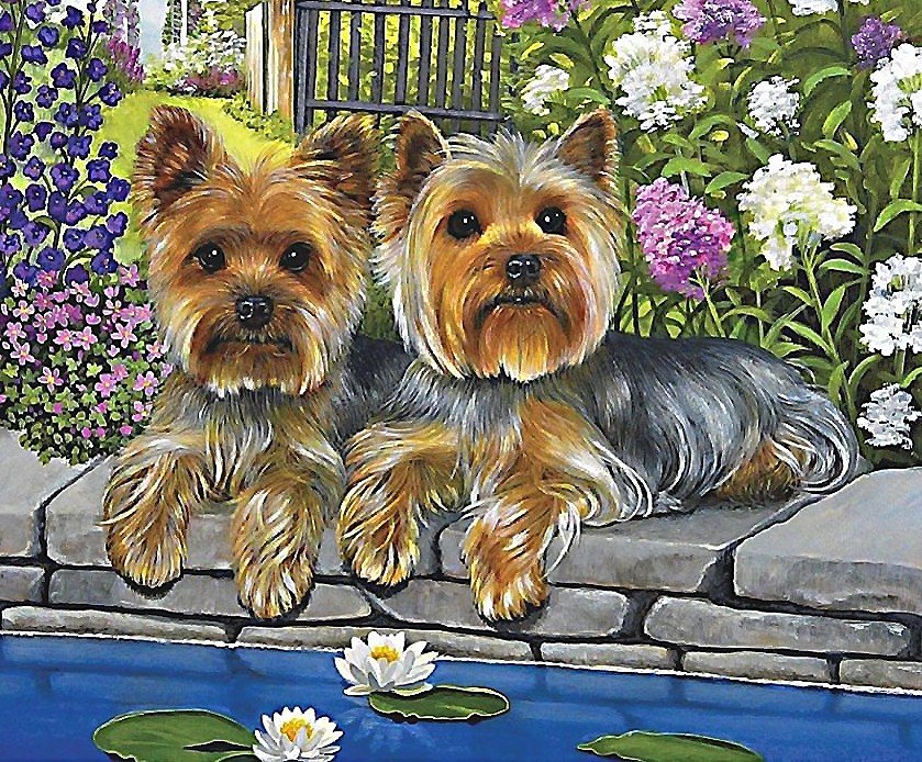 собаки - собаки - оригинал